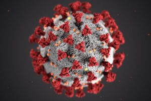 Covid 19 Virus Covid 19 Virus