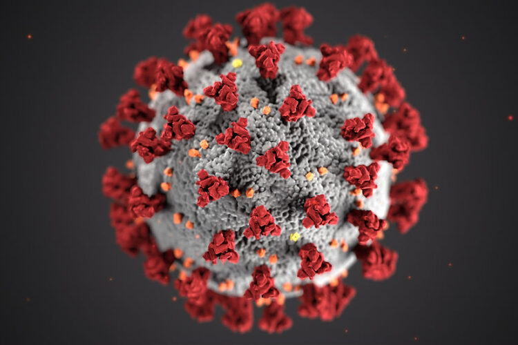 Covid 19 Virus Covid 19 Virus