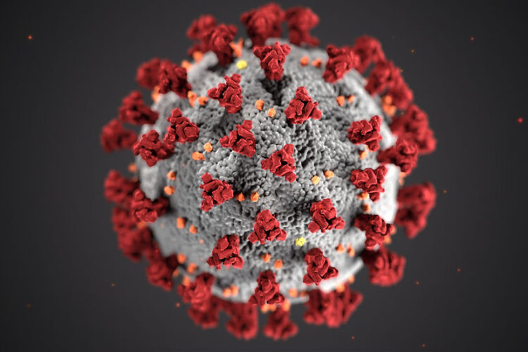 Covid 19 Virus